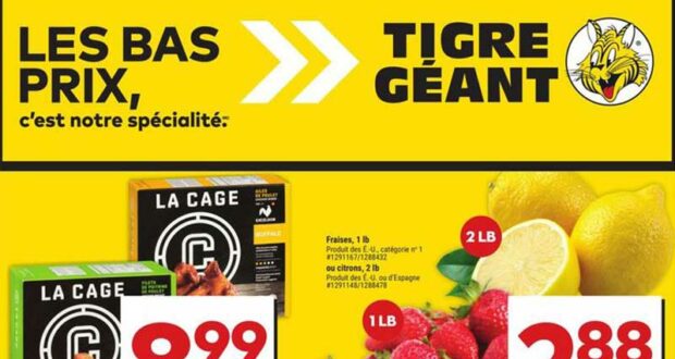 Circulaire Tigre Géant du 28 février au 5 mars 2024