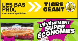 Circulaire Tigre Géant du 27 mars au 2 avril 2024