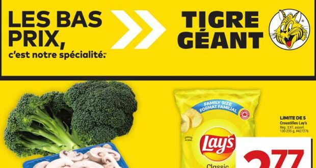 Circulaire Tigre Géant du 17 avril au 23 avril 2024