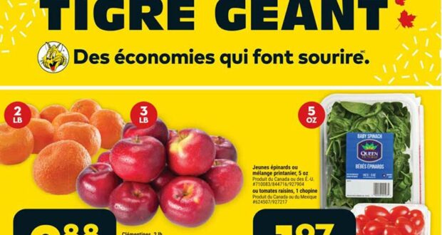 Circulaire Tigre Géant du 24 avril au 30 avril 2024