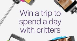 Gagnez un voyage à Toronto de 5000 $