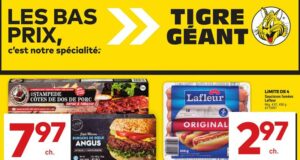 Circulaire Tigre Géant du 15 mai au 21 mai 2024