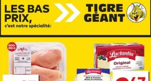 Circulaire Tigre Géant du 8 mai au 14 mai 2024