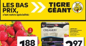 Circulaire Tigre Géant du 26 juin au 2 juillet 2024