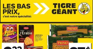 Circulaire Tigre Géant du 3 juillet au 9 juillet 2024