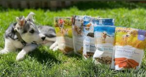 Échantillons Gratuits des friandises pour chien Caledon Farms