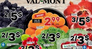 Valmont Circulaire du 7 novembre au 13 novembre 2024