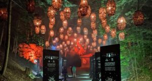 Gagnez une nuitée pour 2 personnes au Studio Lumina