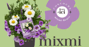 Gagnez un ensemble de fleurs vivaces et annuelles