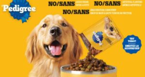 Échantillons des sachets Coupes de Choix au Jus de PEDIGREE
