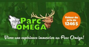 Gagnez une expérience immersive unique au Parc Oméga (1246 $)