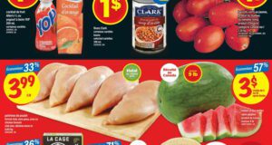 Circulaire Maxi du 21 août au 27 août 2025