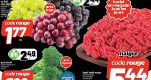 Circulaire Metro du 25 septembre au 1er octobre 2025