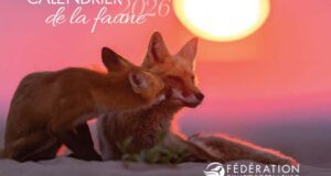 Commandez gratuitement votre calendrier de la Faune 2026