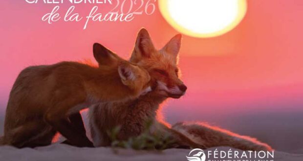 Commandez gratuitement votre calendrier de la Faune 2026