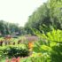 Jardin Jeanne-d’Arc – Plaines d’Abraham