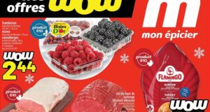 Circulaire Metro du 13 novembre au 19 novembre 2025