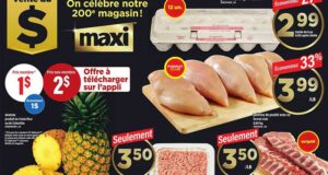 Circulaire Maxi du 8 janvier au 14 janvier 2026