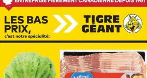 Circulaire Tigre Géant du 14 janvier au 20 janvier 2026