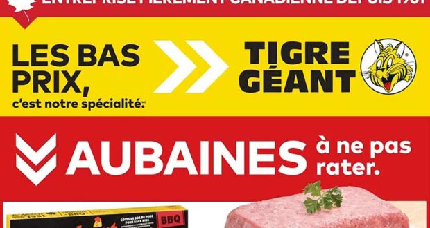 Circulaire Tigre Géant du 4 février au 10 février 2026