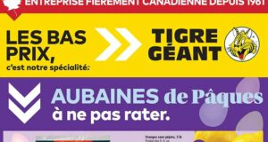Circulaire Tigre Géant du 1 avril au 7 avril 2026