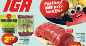 Circulaire IGA du 25 juin au 1 juillet 2026