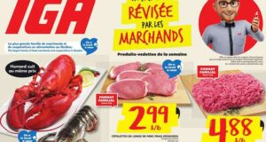 Circulaire IGA du 4 juin au 10 juin 2026