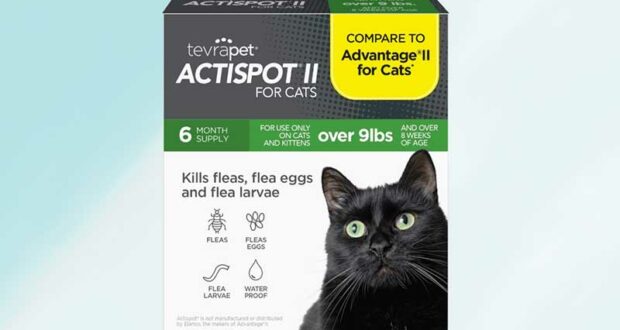 Demandez votre traitement anti-puces pour chats Actispot