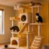 Gagnez un patio pour chat d’une valeur de 10 000 $