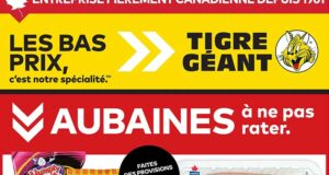 Circulaire Tigre Géant du 29 juillet au 4 août 2026