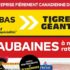 Circulaire Tigre Géant du 29 juillet au 4 août 2026