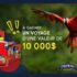 Gagnez un voyage d’une valeur de 10 000 $
