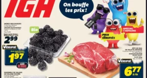 Circulaire IGA du 15 octobre au 21 octobre 2026