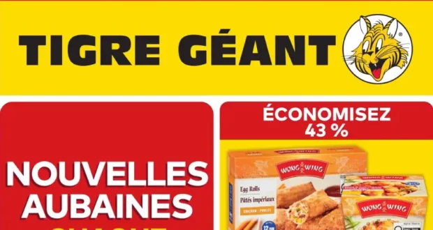 Circulaire Tigre Géant du 21 octobre au 27 octobre 2026